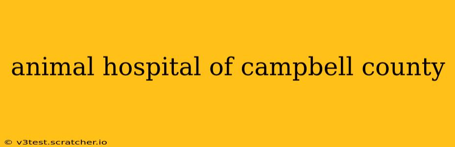 animal hospital of campbell county