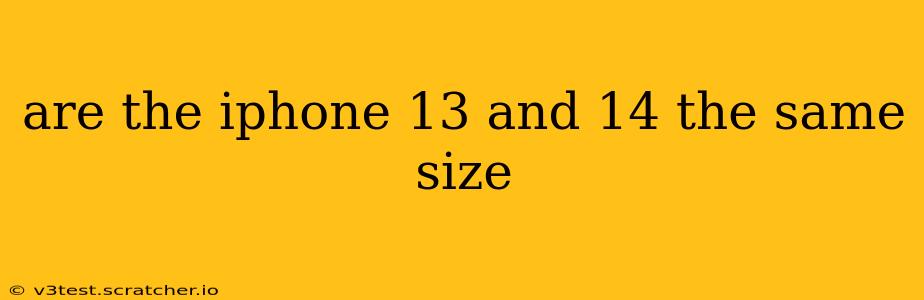 are the iphone 13 and 14 the same size