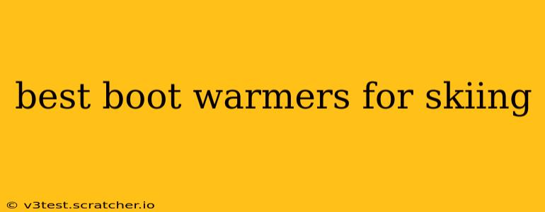 best boot warmers for skiing