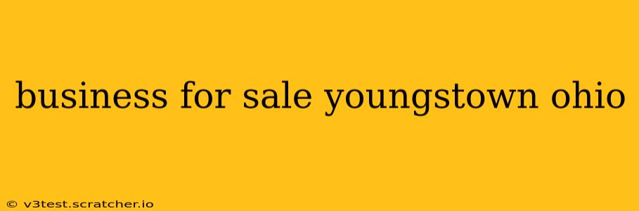 business for sale youngstown ohio