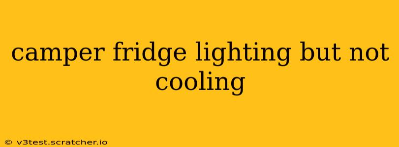 camper fridge lighting but not cooling