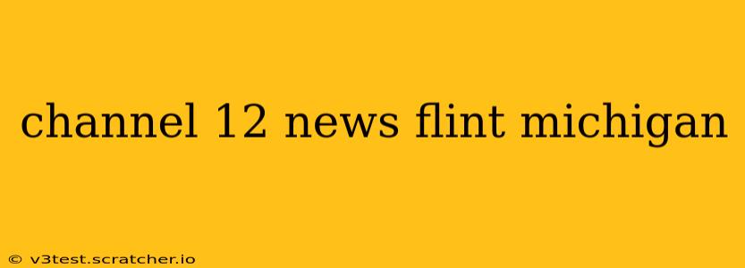 channel 12 news flint michigan