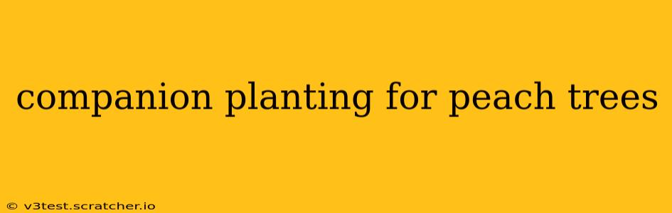 companion planting for peach trees