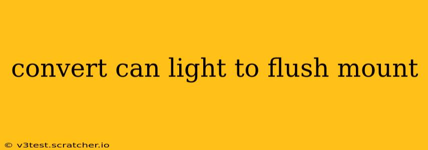 convert can light to flush mount