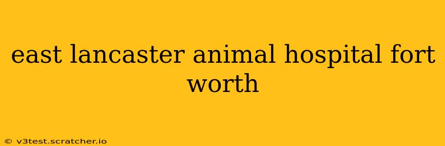 east lancaster animal hospital fort worth
