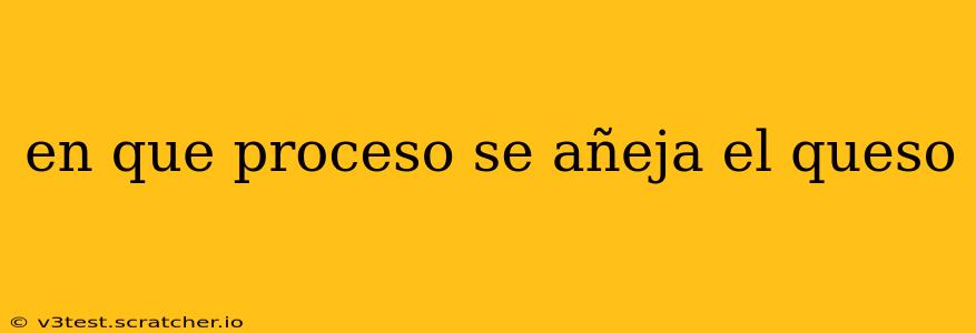 en que proceso se añeja el queso