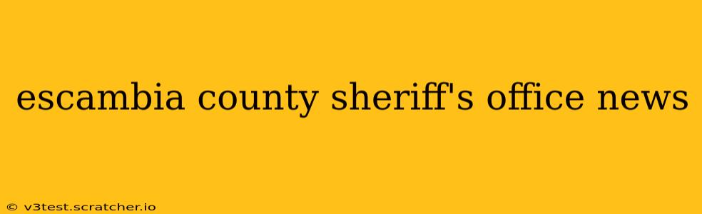 escambia county sheriff's office news