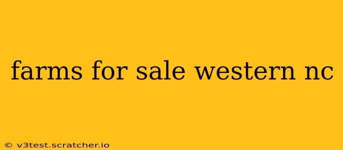 farms for sale western nc
