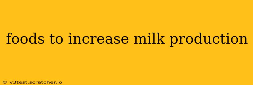 foods to increase milk production
