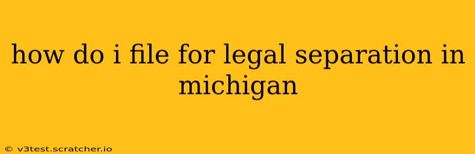 how do i file for legal separation in michigan