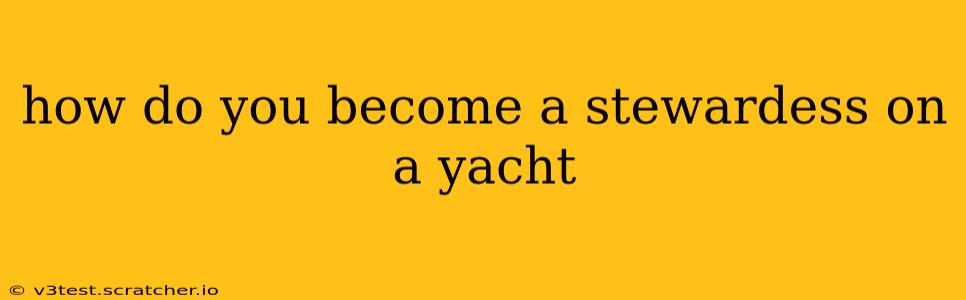 how do you become a stewardess on a yacht