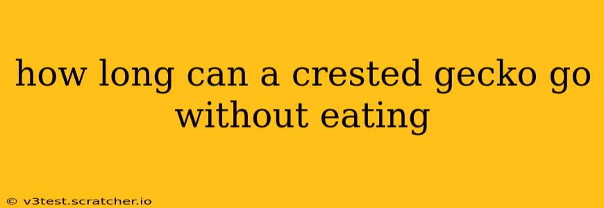 how long can a crested gecko go without eating
