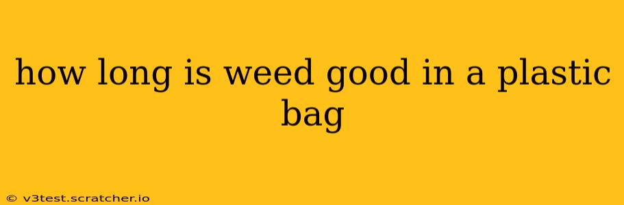 how long is weed good in a plastic bag