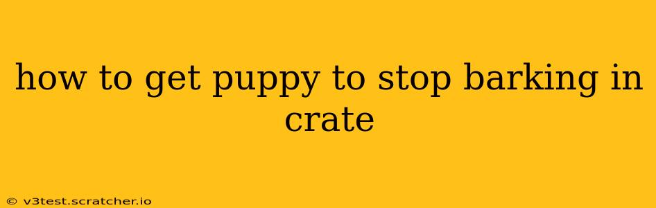 how to get puppy to stop barking in crate