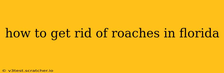 how to get rid of roaches in florida