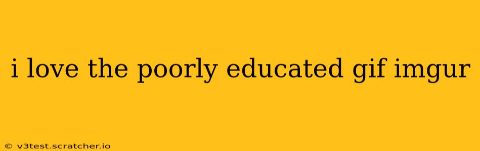 i love the poorly educated gif imgur