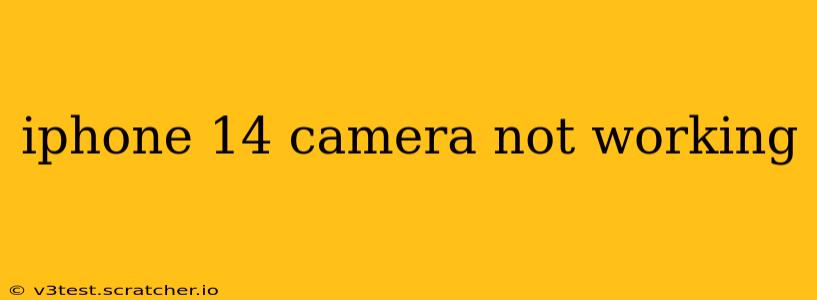 iphone 14 camera not working