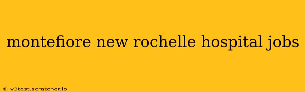 montefiore new rochelle hospital jobs