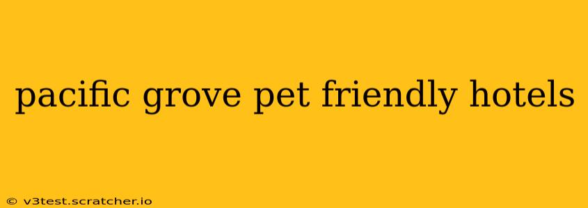 pacific grove pet friendly hotels
