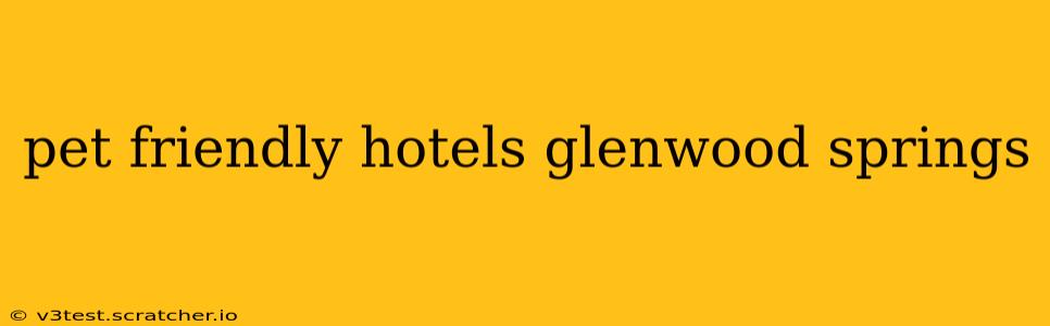 pet friendly hotels glenwood springs