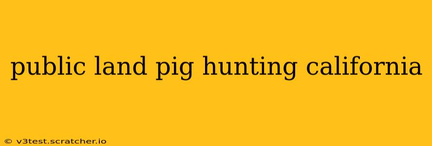public land pig hunting california