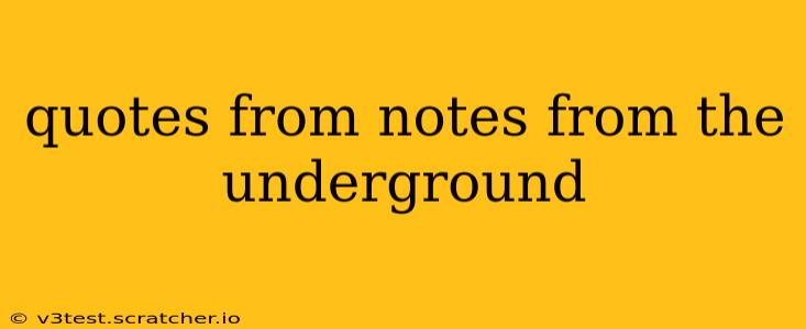 quotes from notes from the underground