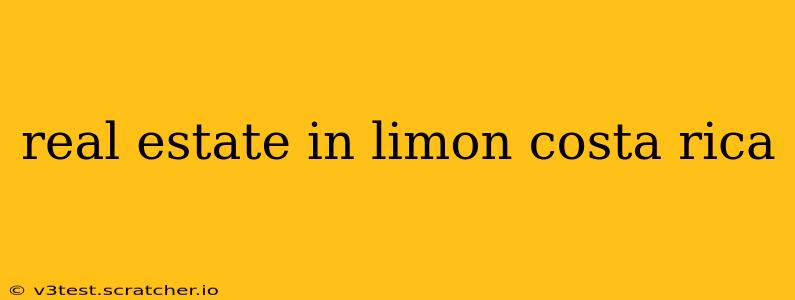 real estate in limon costa rica
