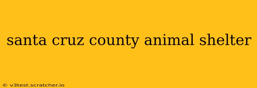 santa cruz county animal shelter