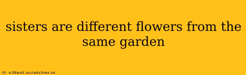 sisters are different flowers from the same garden