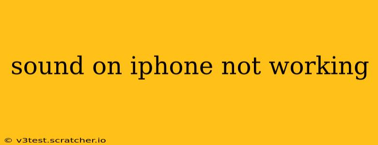 sound on iphone not working