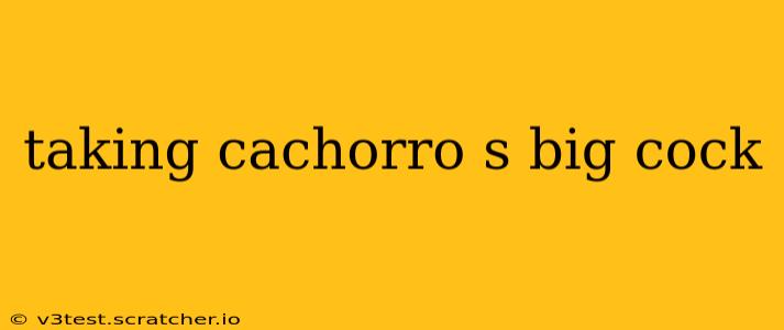 taking cachorro s big cock