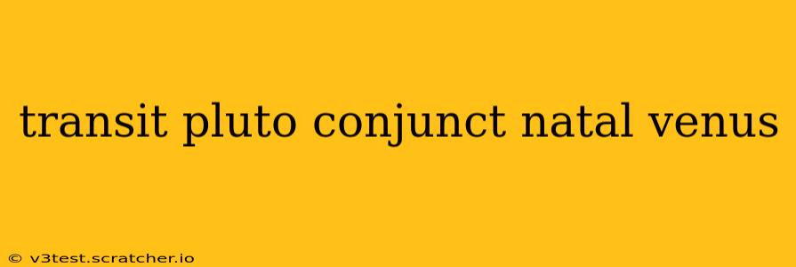 transit pluto conjunct natal venus