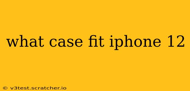 what case fit iphone 12