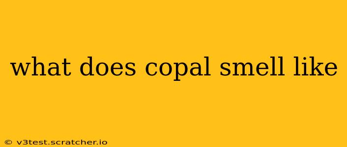 what does copal smell like