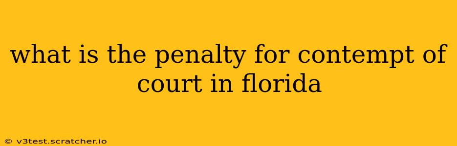 what is the penalty for contempt of court in florida