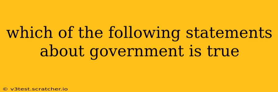 which of the following statements about government is true