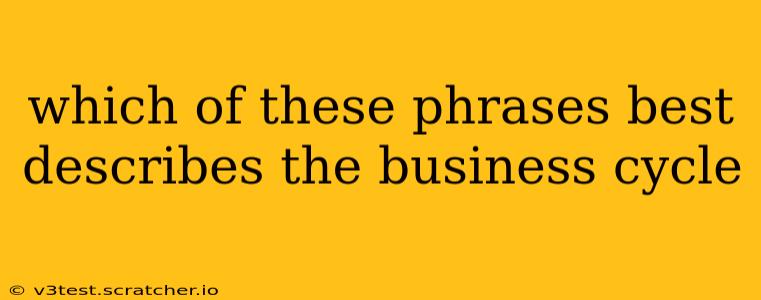 which of these phrases best describes the business cycle