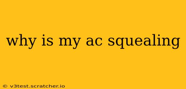 why is my ac squealing