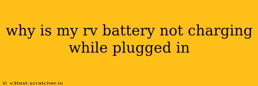why is my rv battery not charging while plugged in