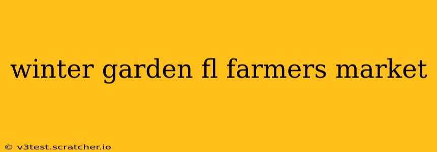 winter garden fl farmers market